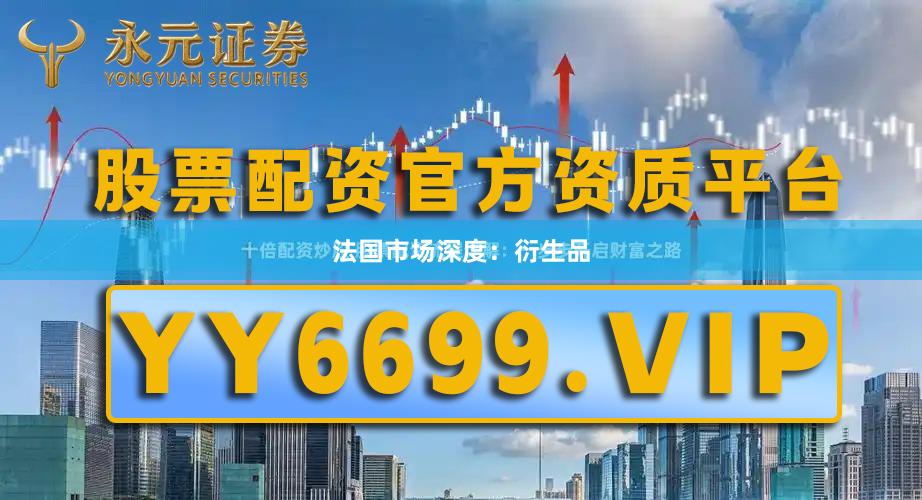 法国市场深度：衍生品