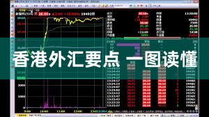 香港外汇要点 一图读懂