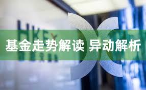基金走势解读 异动解析