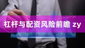 杠杆与配资风险前瞻 zy